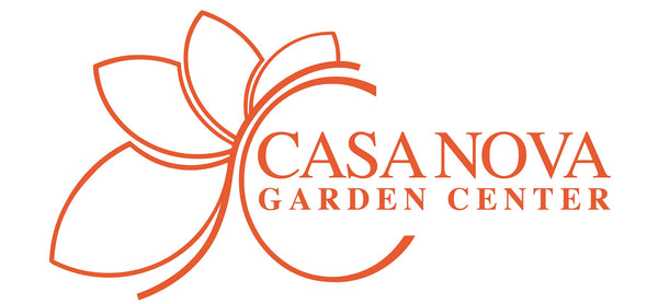 CASANOVAWEB