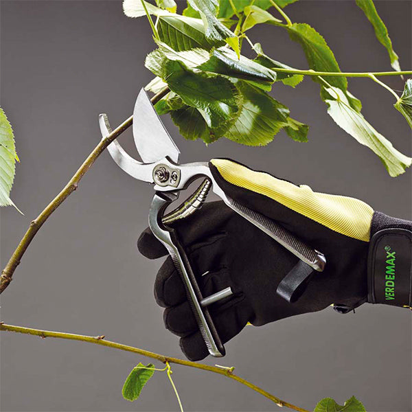 Forbice per Potare- V004193