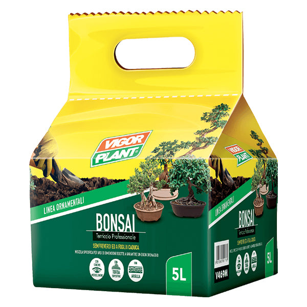 Linea Ornamentali - Bonsai 5L