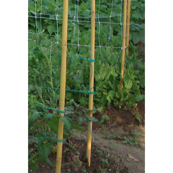 Tutori in Bamboo Serie Pesante