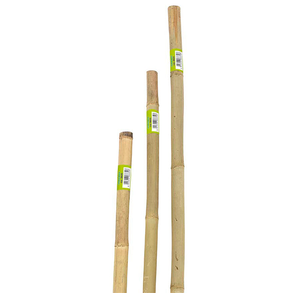 Tutori in Bamboo Serie Pesante
