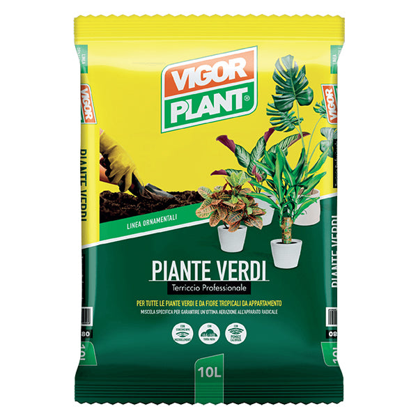 Linea Ornamentali - Piante Verdi 10L