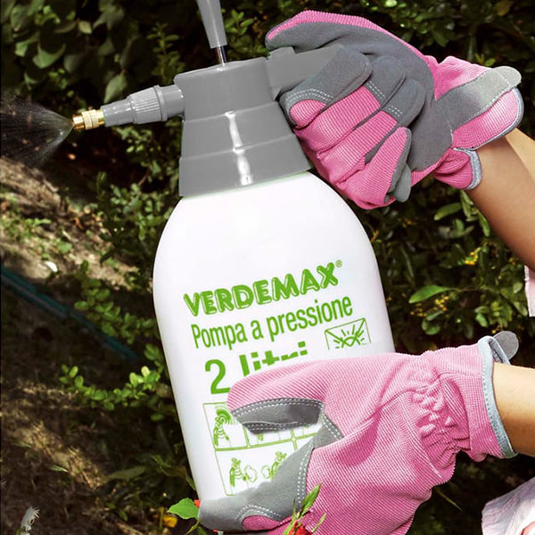 Pompa a Pressione Professionale 2 Litri- V005967