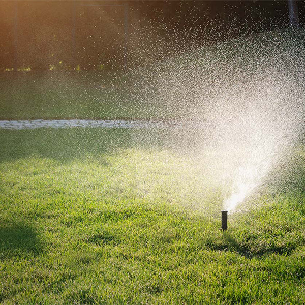 Pop-Up Regolabile 0° - 360° - 2”: L'Irrigatore a Scomparsa Professionale- 90004