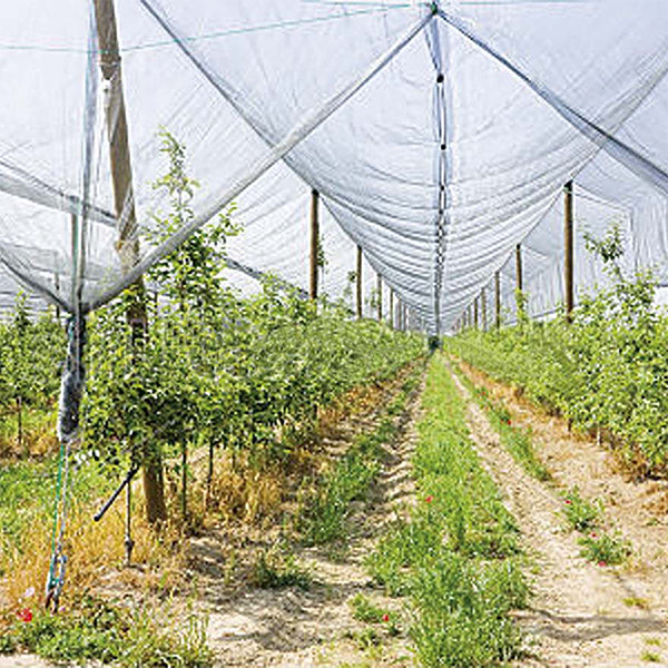 Rete Antigrandine in Rotolo a Taglio- V007678