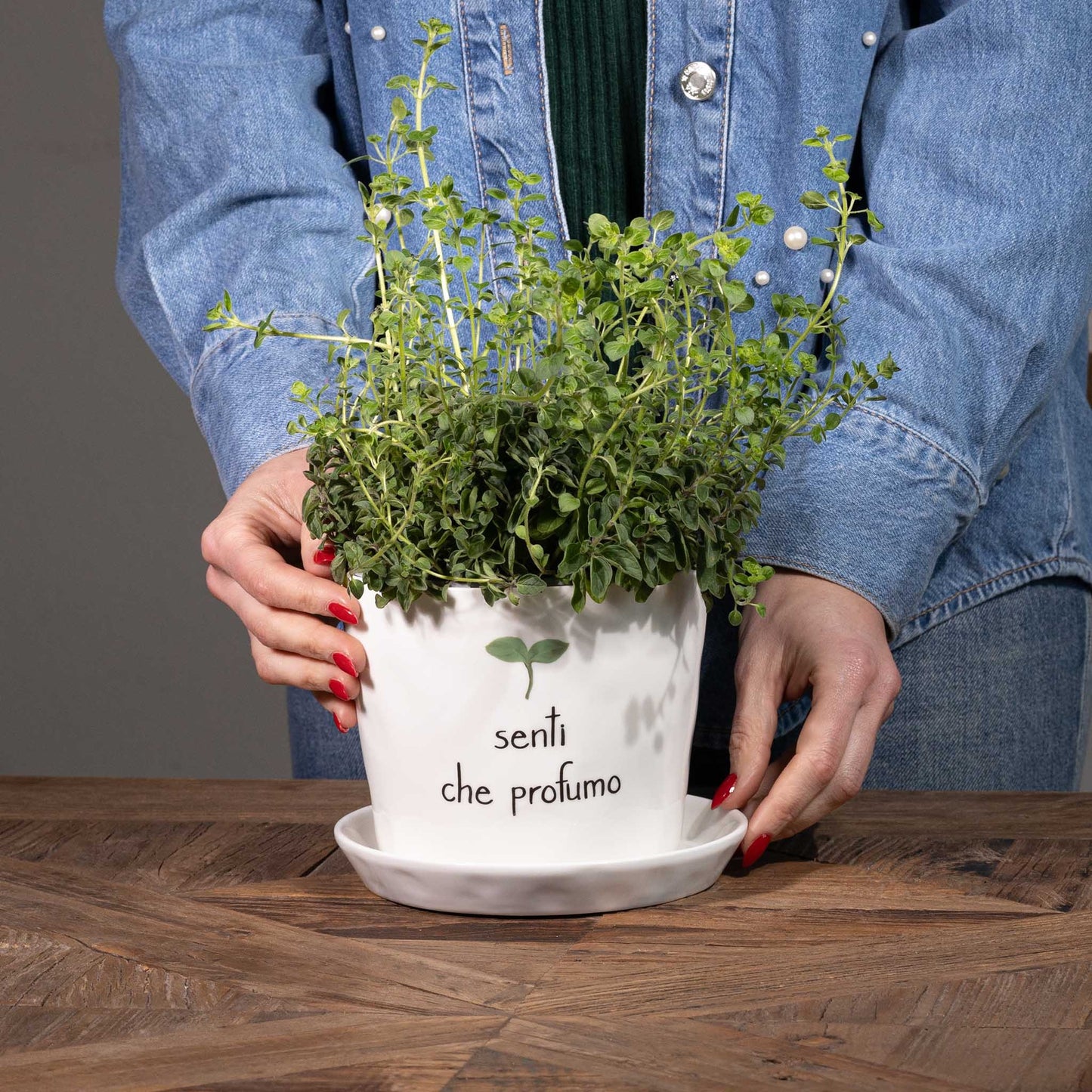 Vaso - Scritta: Senti che profumo 15x12cm