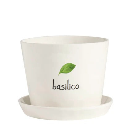 Vaso - Scritta: Basilico 15x12cm