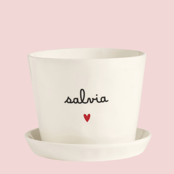 Vaso - Salvia cuore 15x12cm