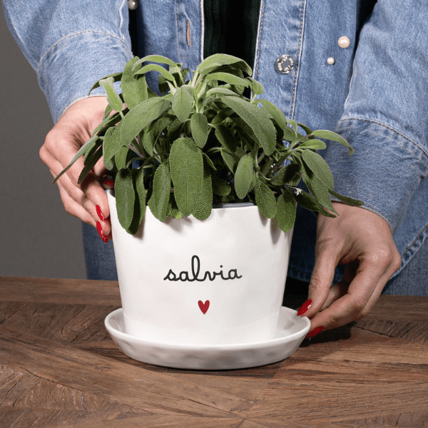 Vaso - Salvia cuore 15x12cm