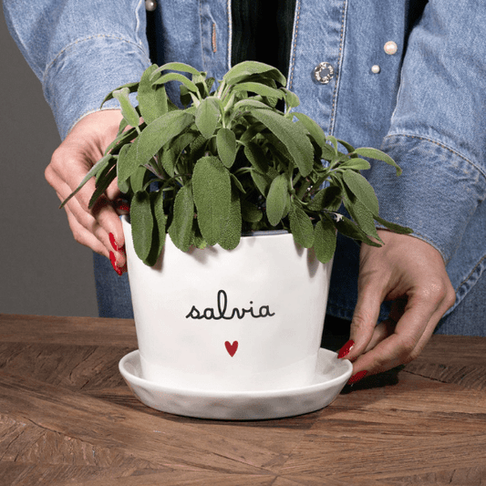 Vaso - Salvia cuore 15x12cm