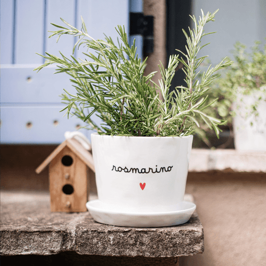 Vaso - Rosmarino cuore 15x12 cm