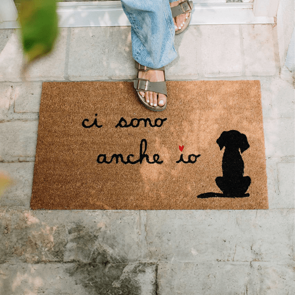 Zerbino - Ci sono anche io Cane