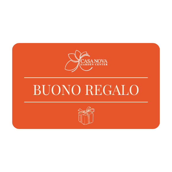Buono Regalo Casa Nova