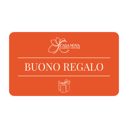 Buono Regalo Casa Nova