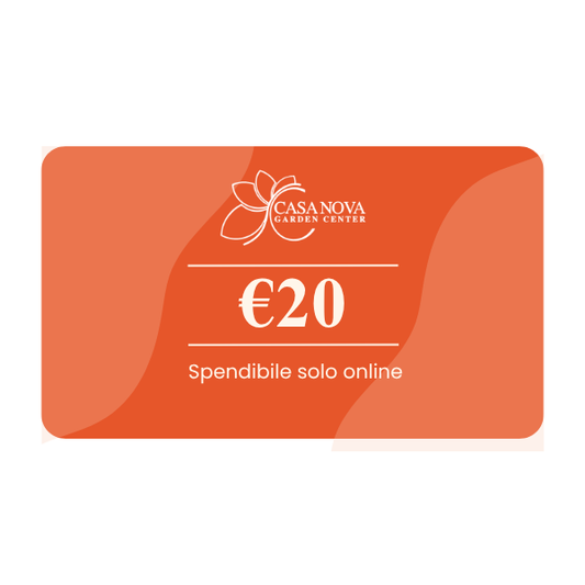 Buono Regalo Casa Nova