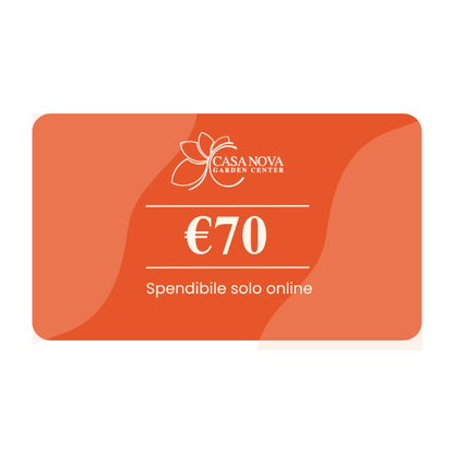 Buono Regalo Casa Nova