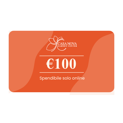Buono Regalo Casa Nova