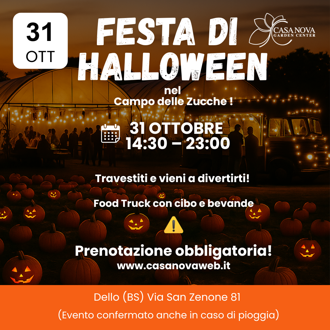 Festa di Halloween