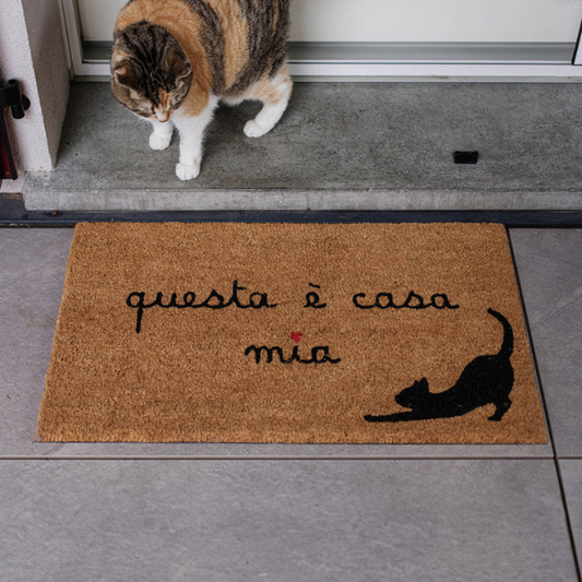 Zerbino - Questa è casa mia Gatto