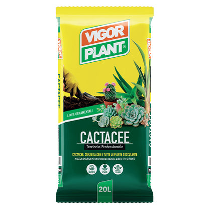 Linea Ornamentali - Cactacee 5L e 20L