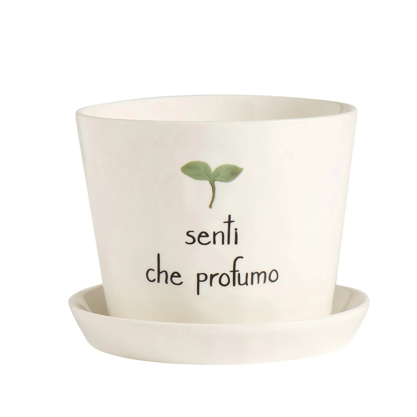 Vaso - Scritta: Senti che profumo 15x12cm