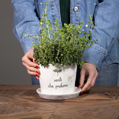 Vaso - Scritta: Senti che profumo 15x12cm