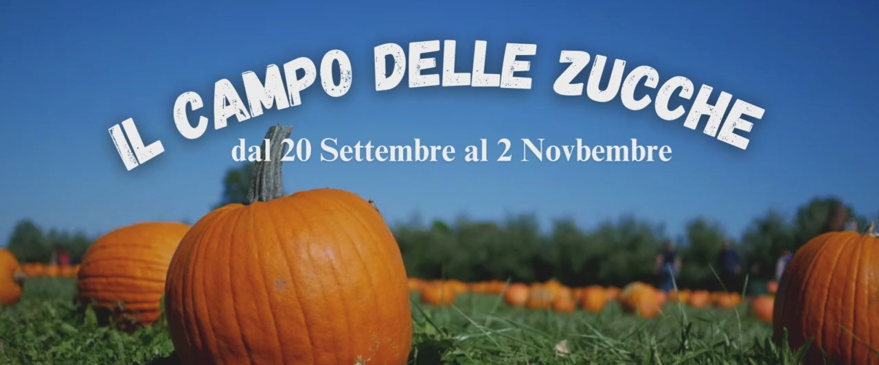 Carica il video: 