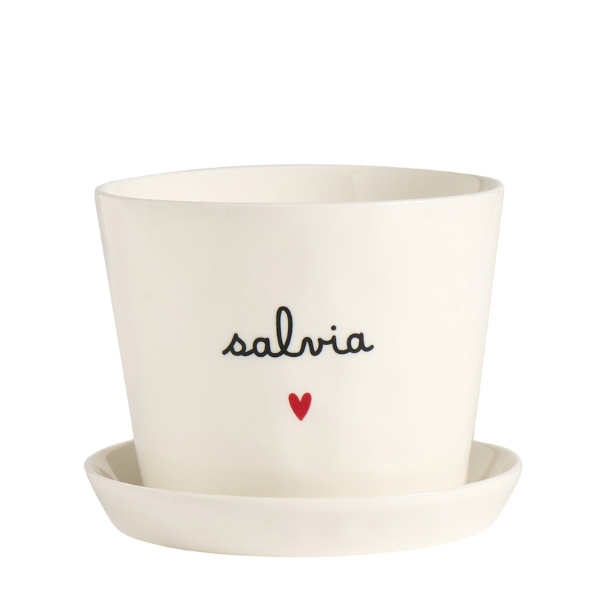 Vaso - Salvia cuore 15x12cm