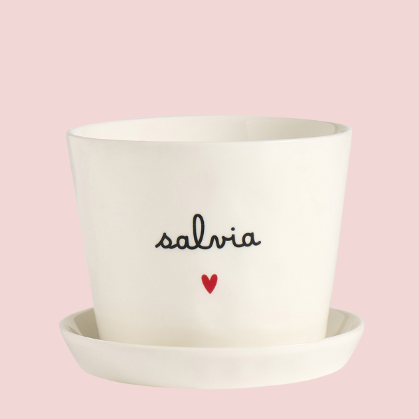 Vaso - Salvia cuore 15x12cm