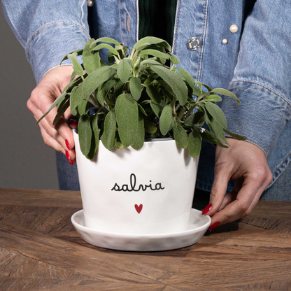Vaso - Salvia cuore 15x12cm