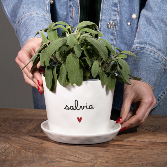 Vaso - Salvia cuore 15x12cm