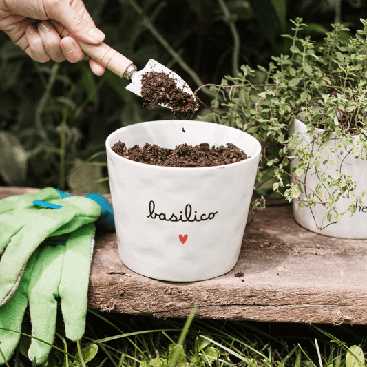 Vaso - Scritta: Basilico cuore 15x12cm